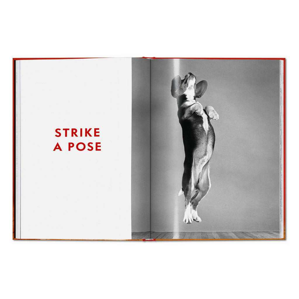 TASCHEN Walter Chandoha. Dogs. Photographs 1941–1991 (EN)