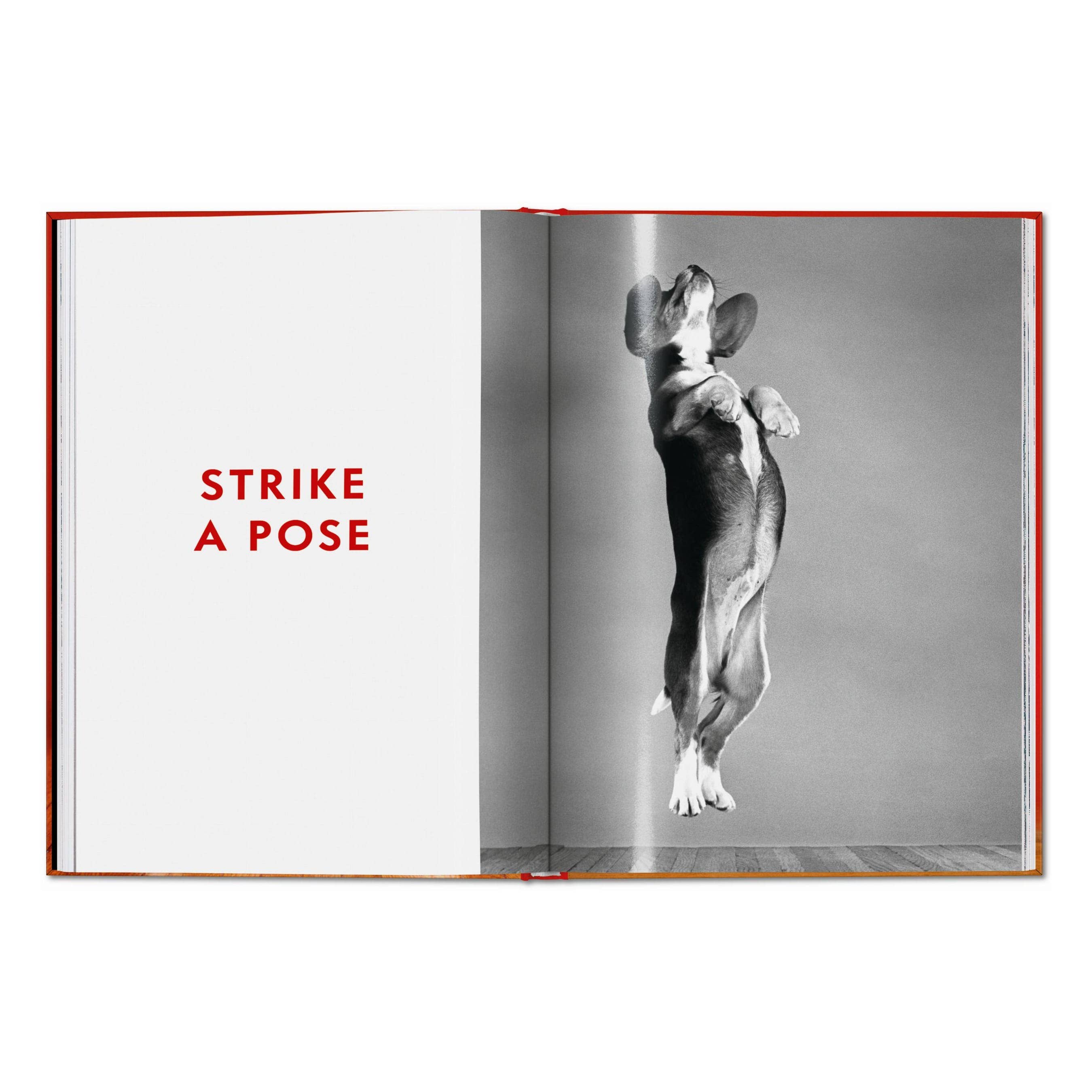 TASCHEN Walter Chandoha. Dogs. Photographs 1941–1991 (EN)