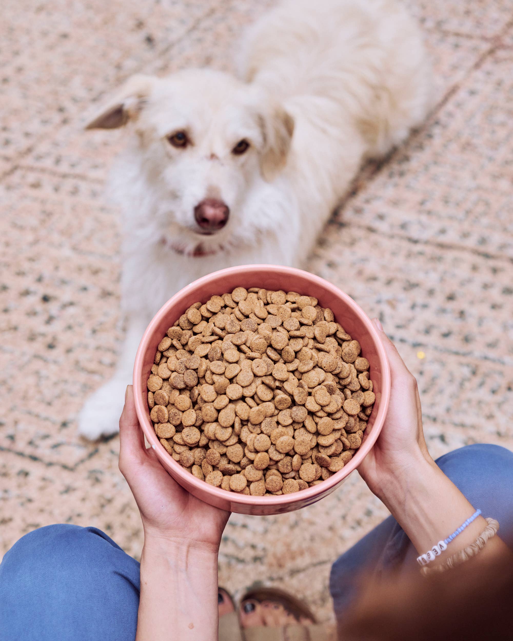 VEGDOG GREEN CRUNCH Dry Food