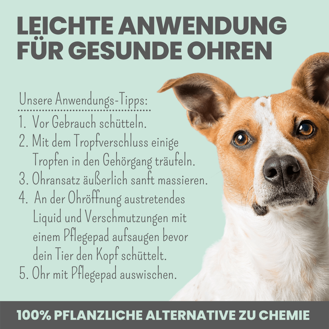 noms+ 2-in-1 Ear Cleaner