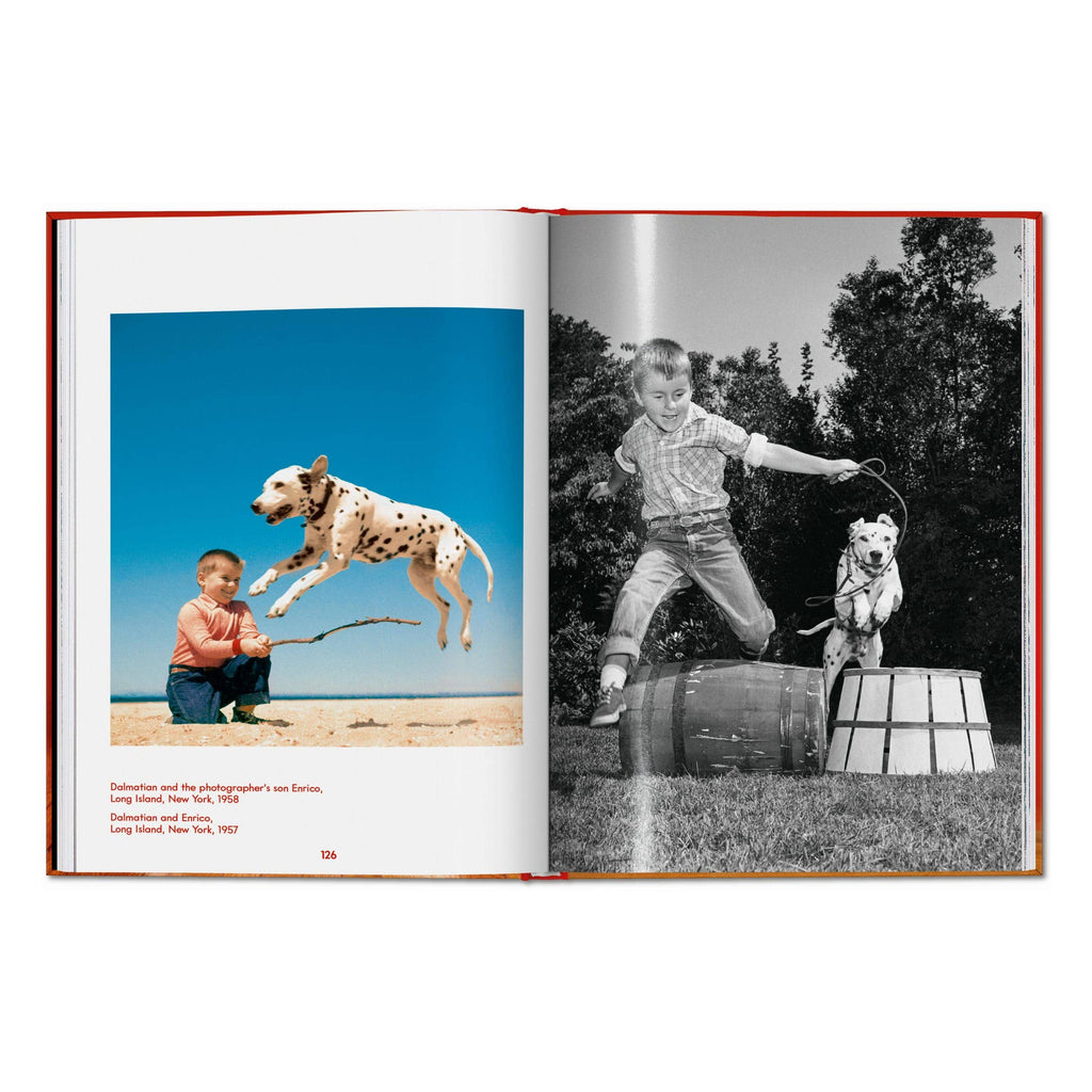 TASCHEN Walter Chandoha. Dogs. Photographs 1941–1991 (EN)