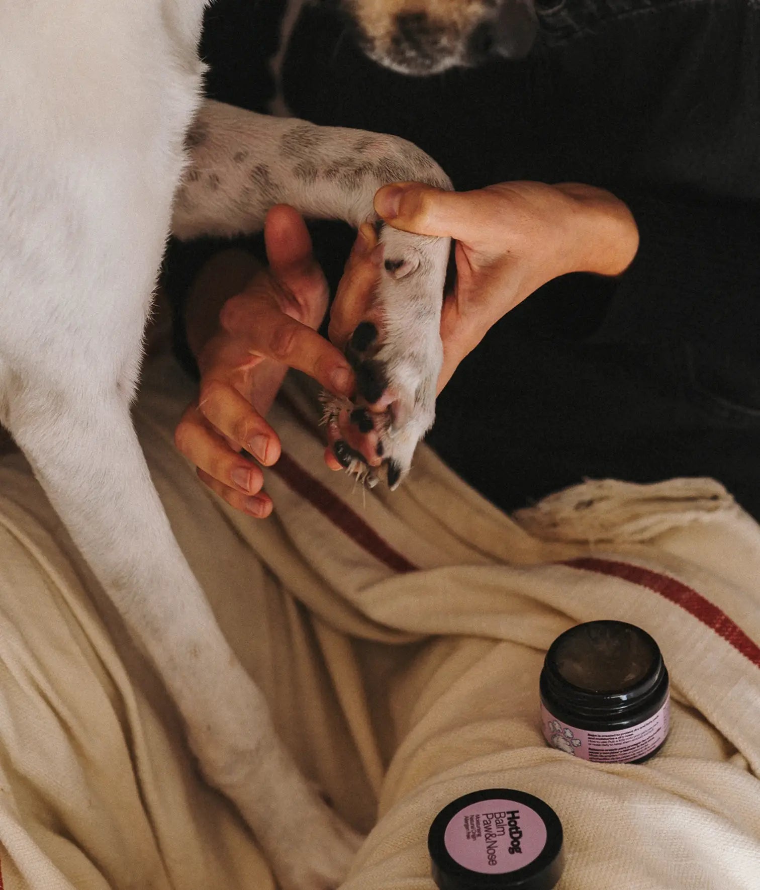 HotDog Pets Balsamcreme