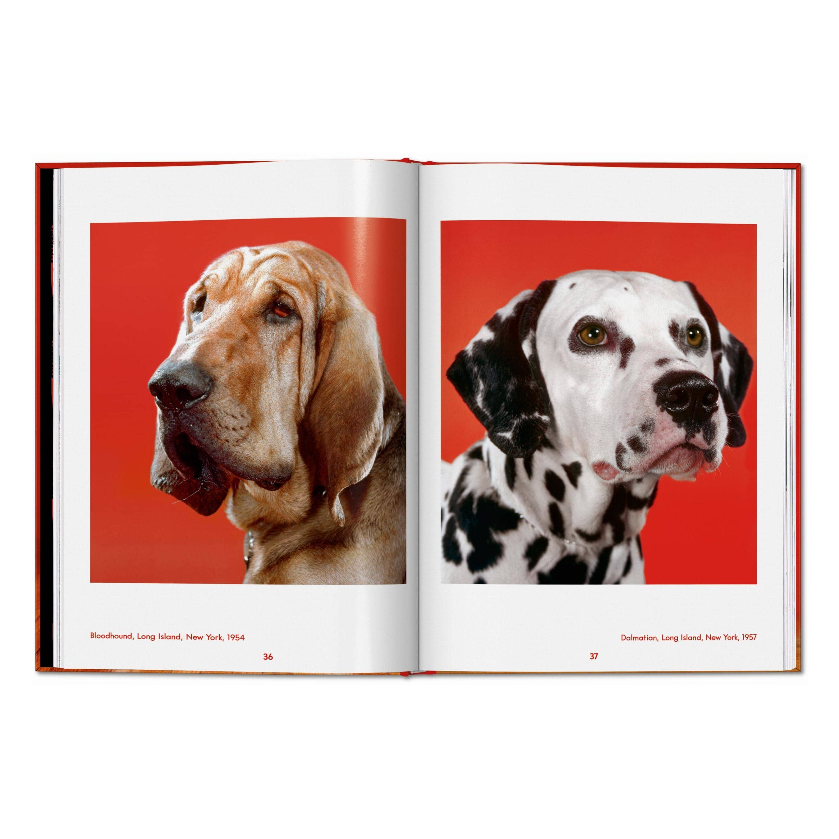 TASCHEN Walter Chandoha. Dogs. Photographs 1941–1991 (EN)