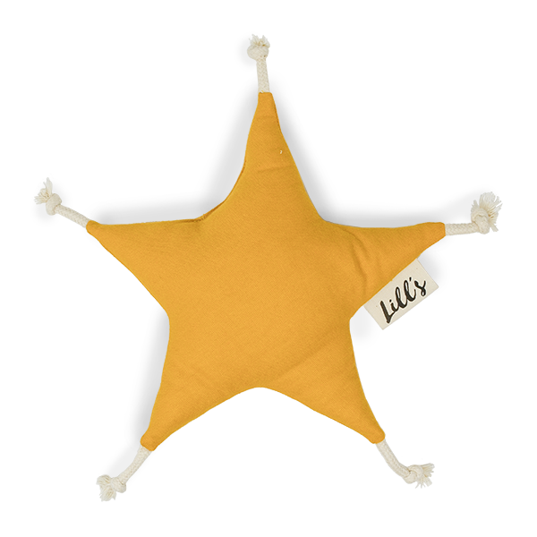 Hundespielzeug Stern