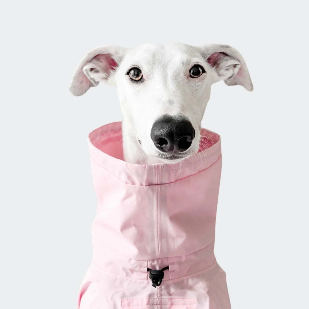 Cloud7 Hunderegenmantel AKTIV Peach/Neon Pink