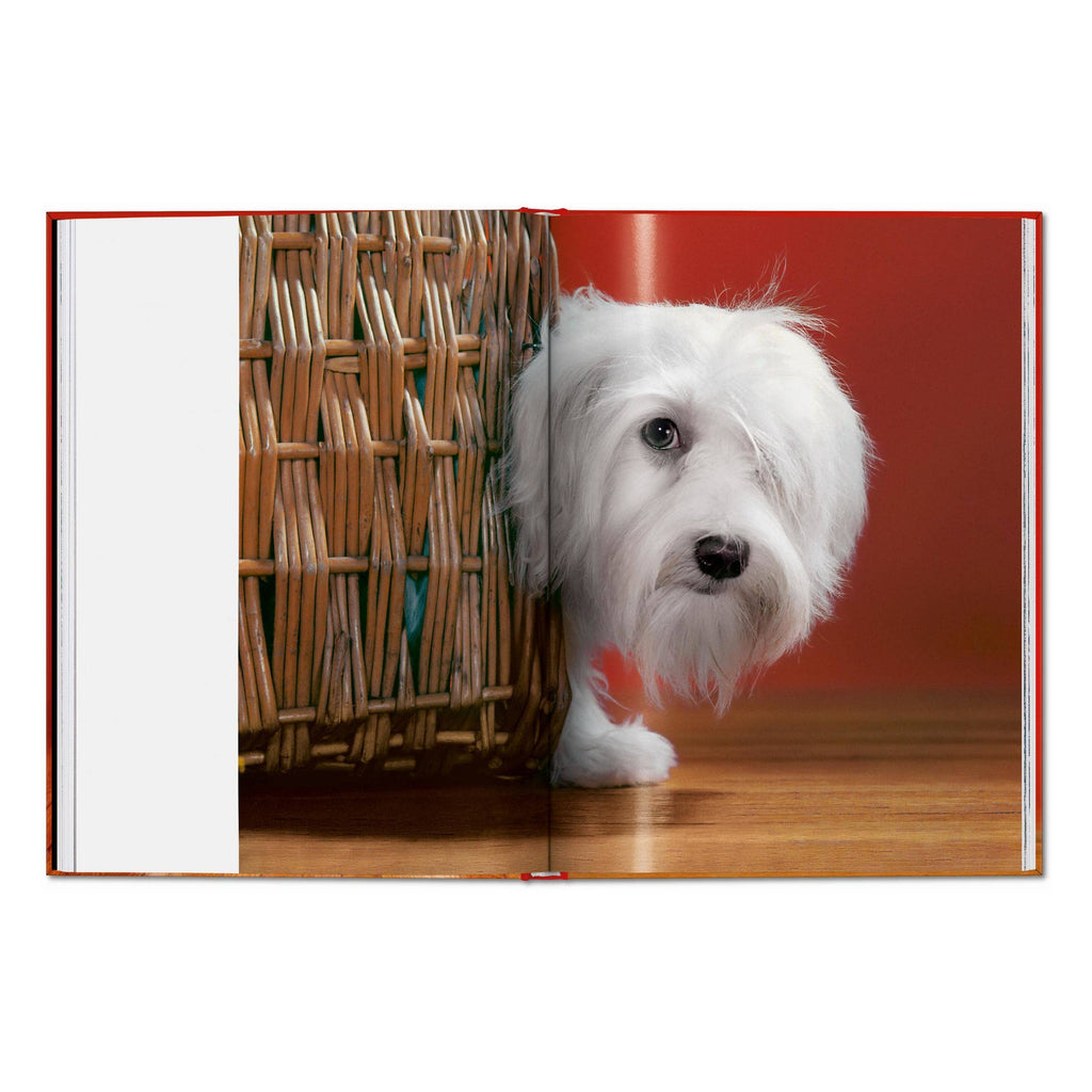 TASCHEN Walter Chandoha. Dogs. Photographs 1941–1991 (EN)