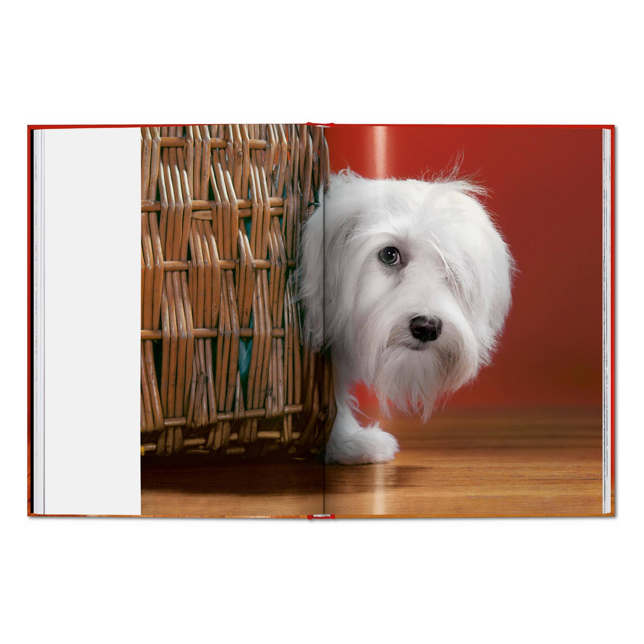 TASCHEN Walter Chandoha. Dogs. Photographs 1941–1991 (EN)