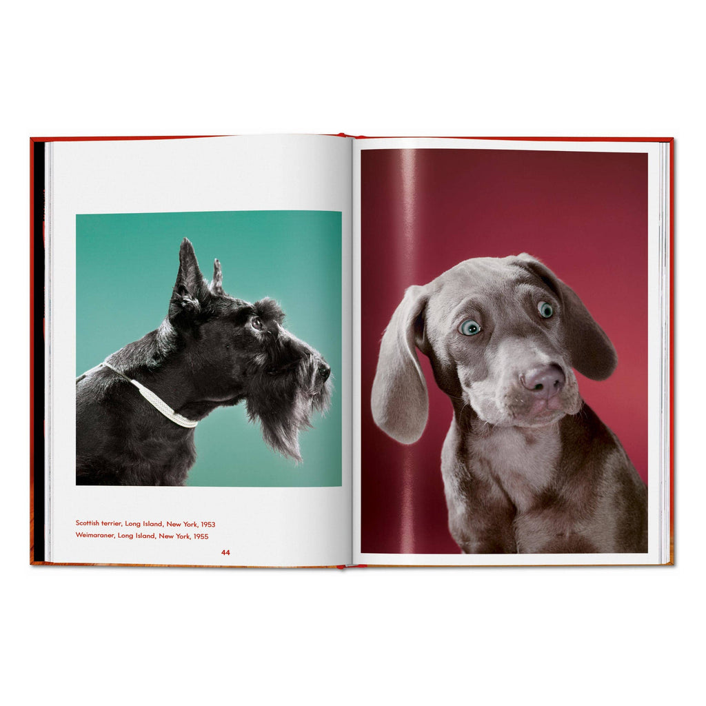 TASCHEN Walter Chandoha. Dogs. Photographs 1941–1991 (EN)