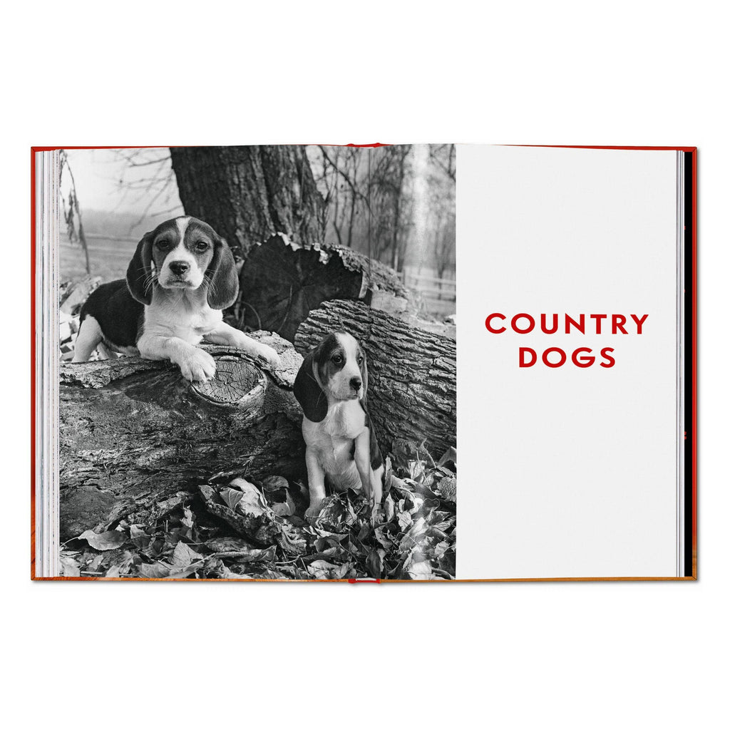 TASCHEN Walter Chandoha. Dogs. Photographs 1941–1991 (EN)