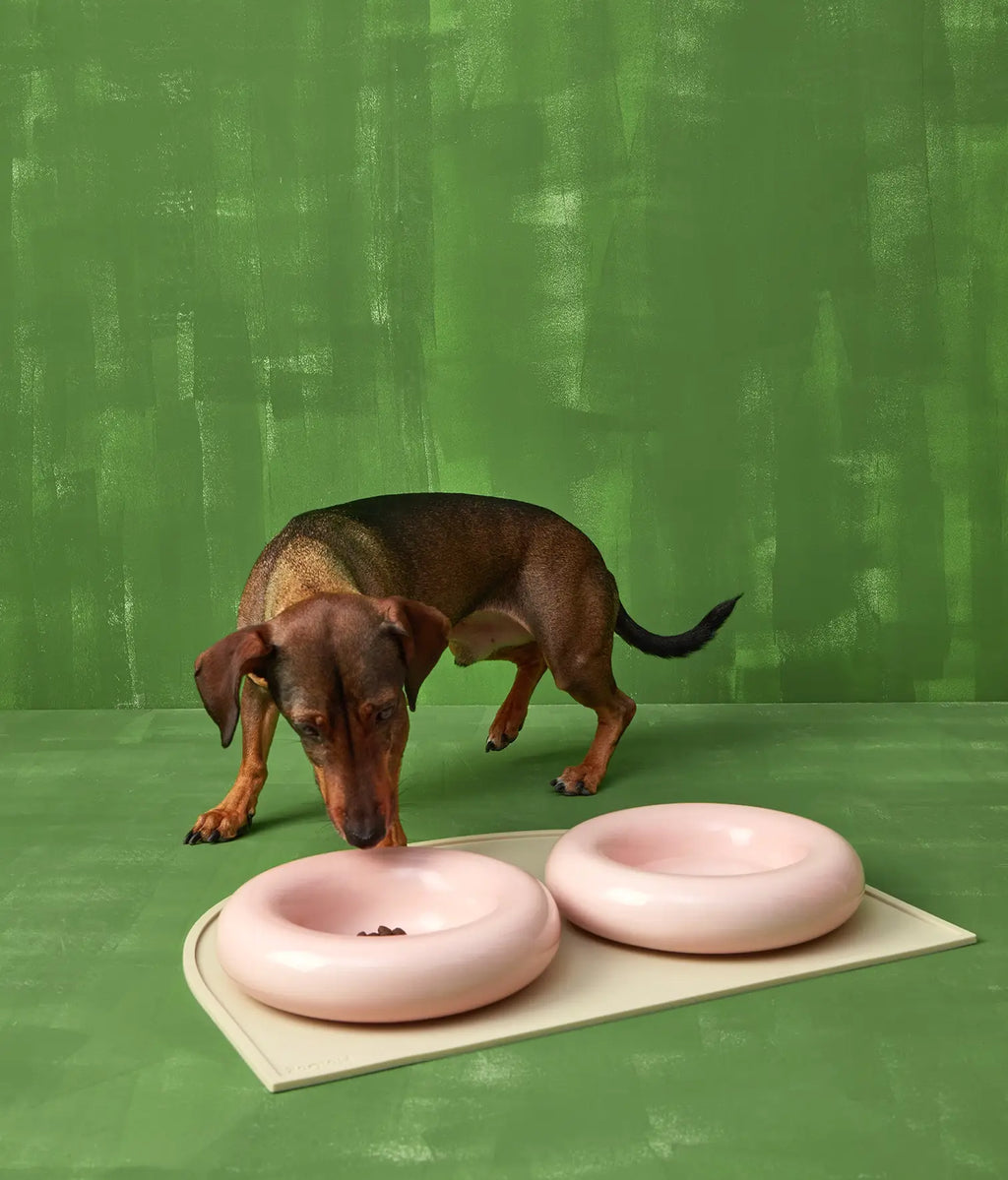 HotDog Pets Ceramic Bowl