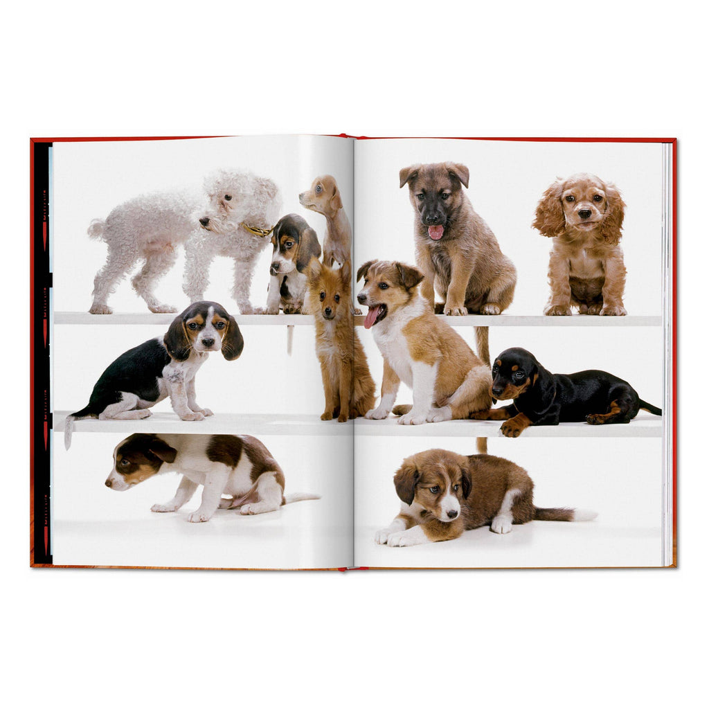 TASCHEN Walter Chandoha. Dogs. Photographs 1941–1991 (EN)