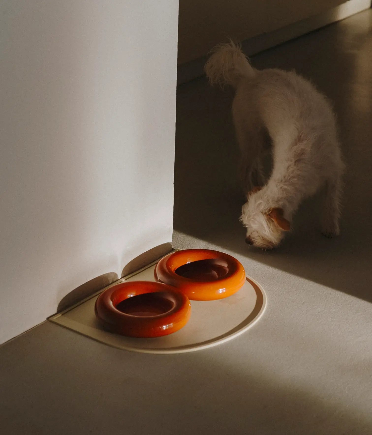 HotDog Pets Schutzmatte