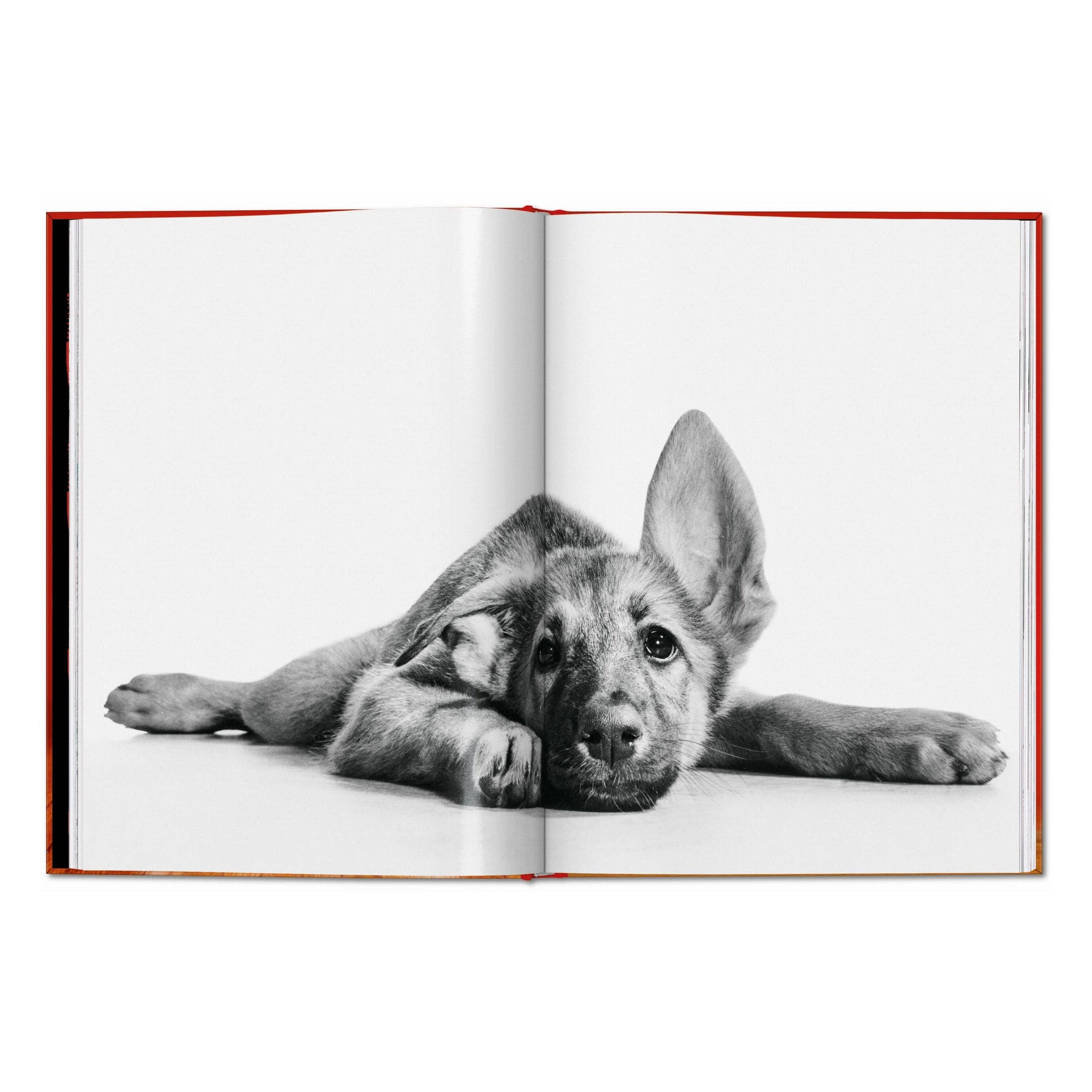 TASCHEN Walter Chandoha. Dogs. Photographs 1941–1991 (EN)