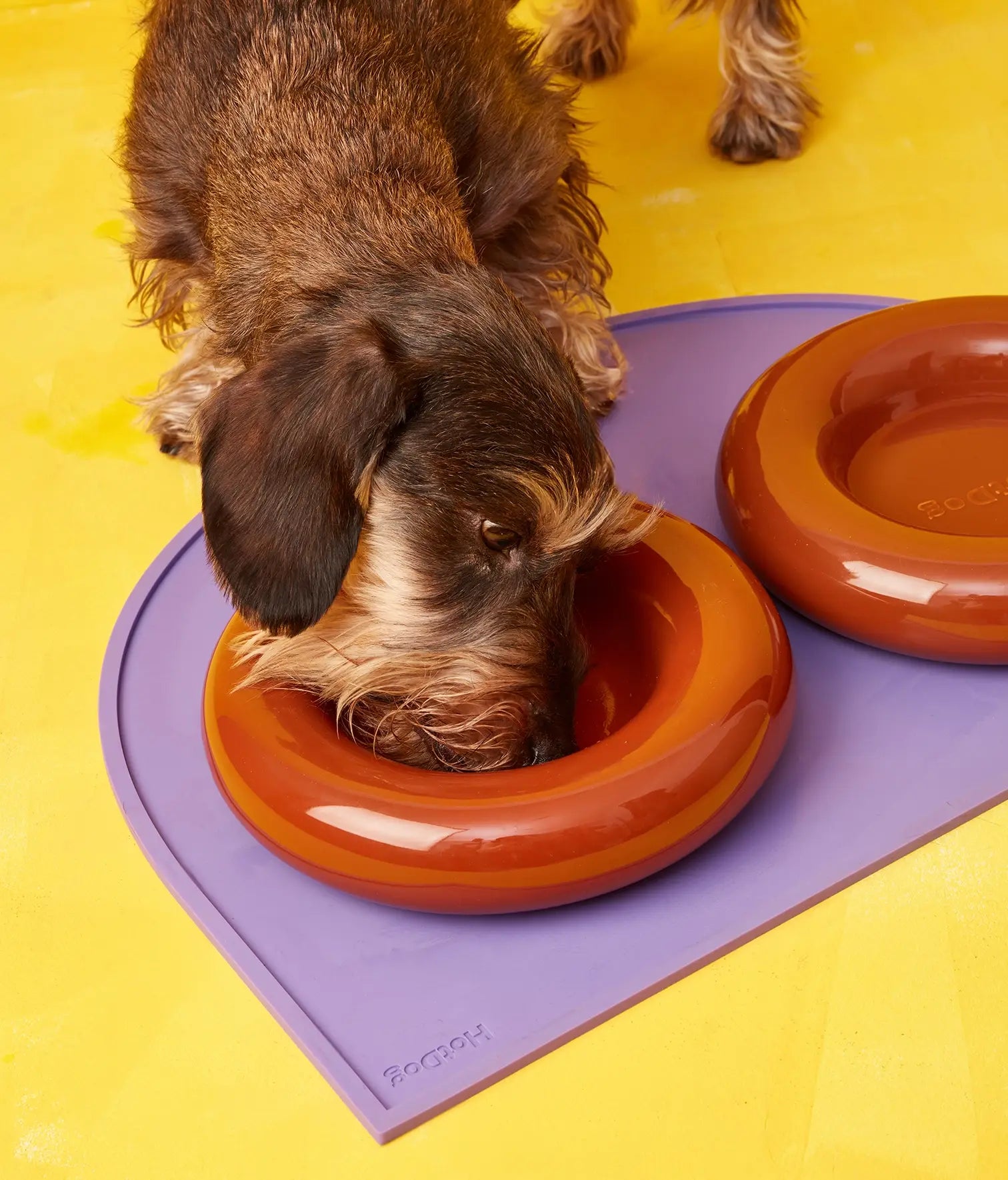HotDog Pets Keramiknapf