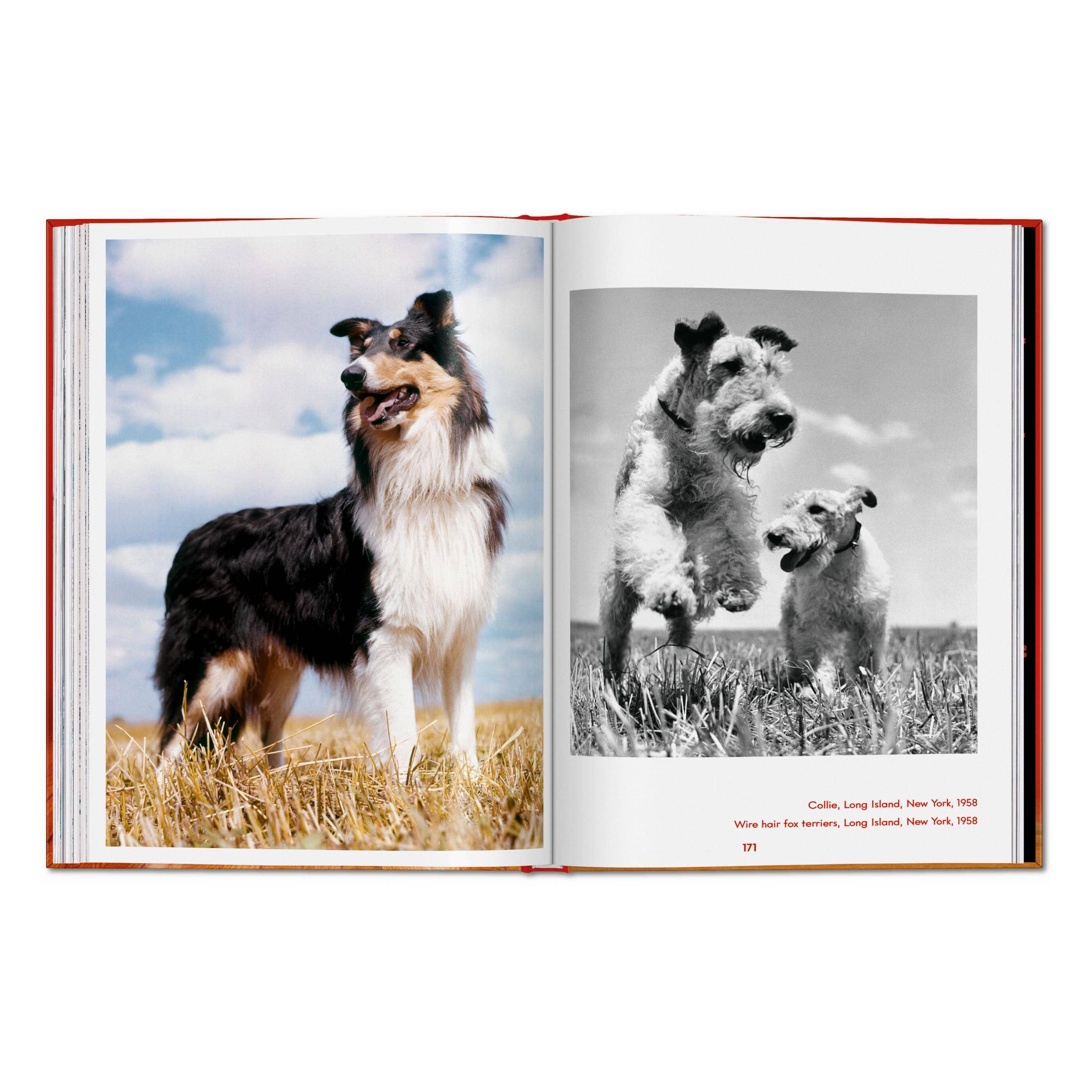 TASCHEN Walter Chandoha. Dogs. Photographs 1941–1991 (EN)
