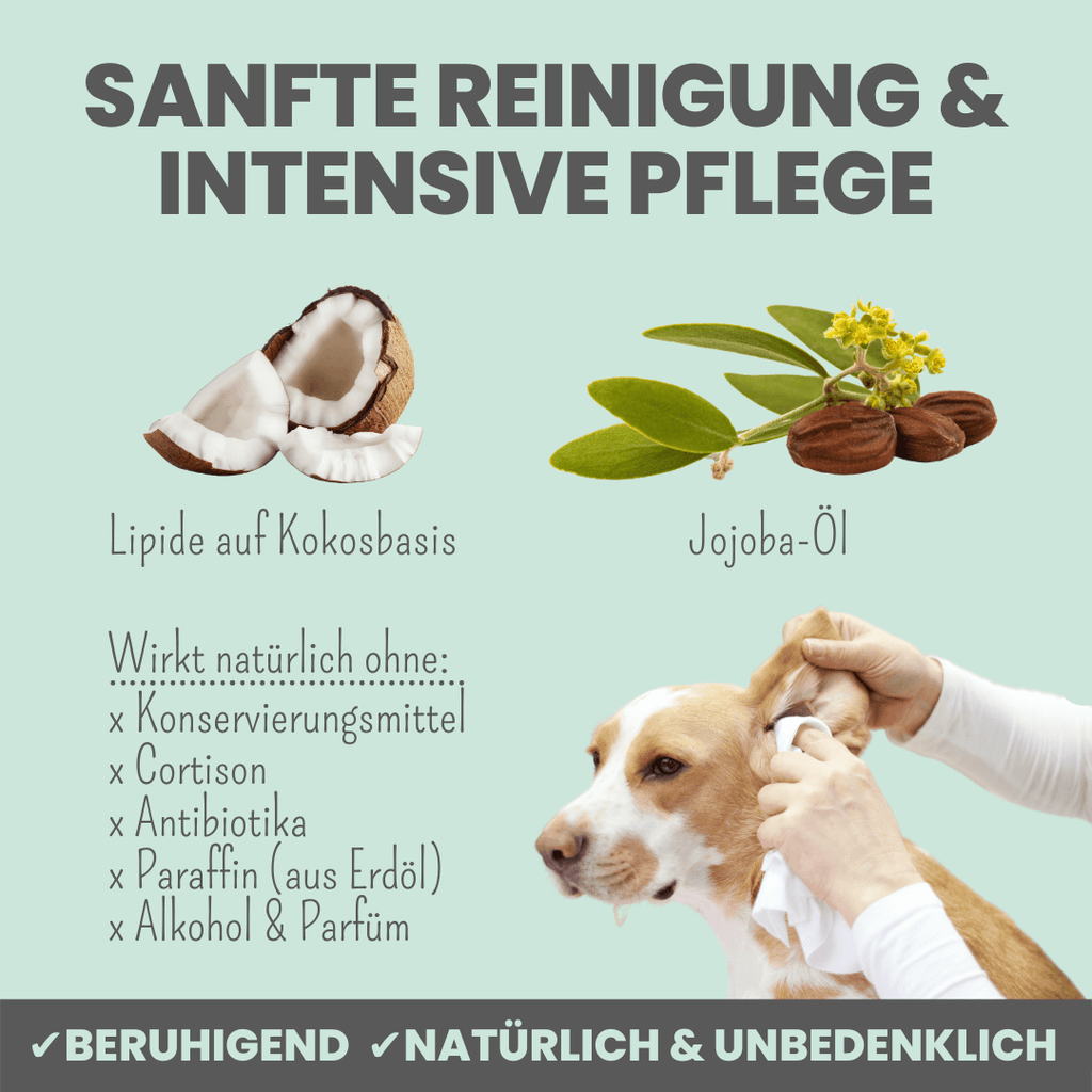 noms+ 2-in-1 Ear Cleaner