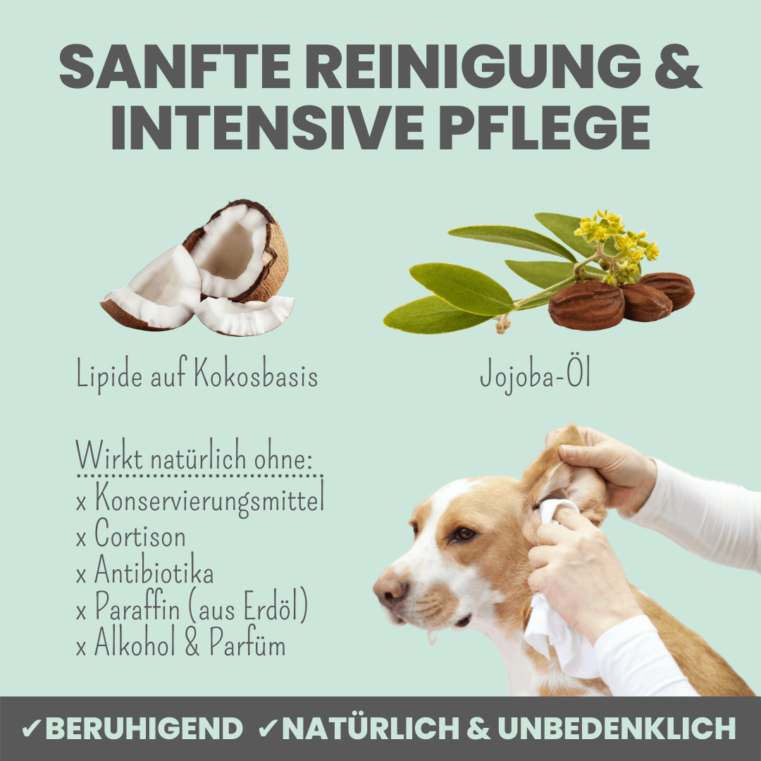 noms+ 2-in-1 Ear Cleaner