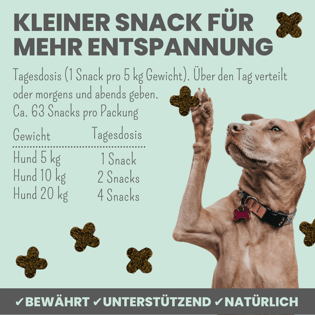 Wohlfühlsnacks bei Stress, Angst & Unruhe