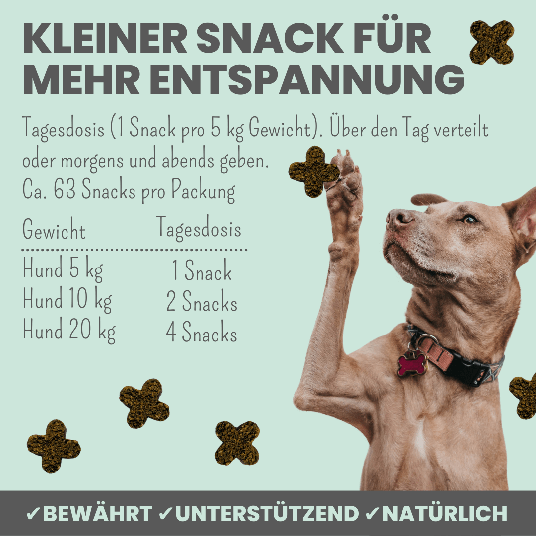 Wohlfühlsnacks bei Stress, Angst & Unruhe