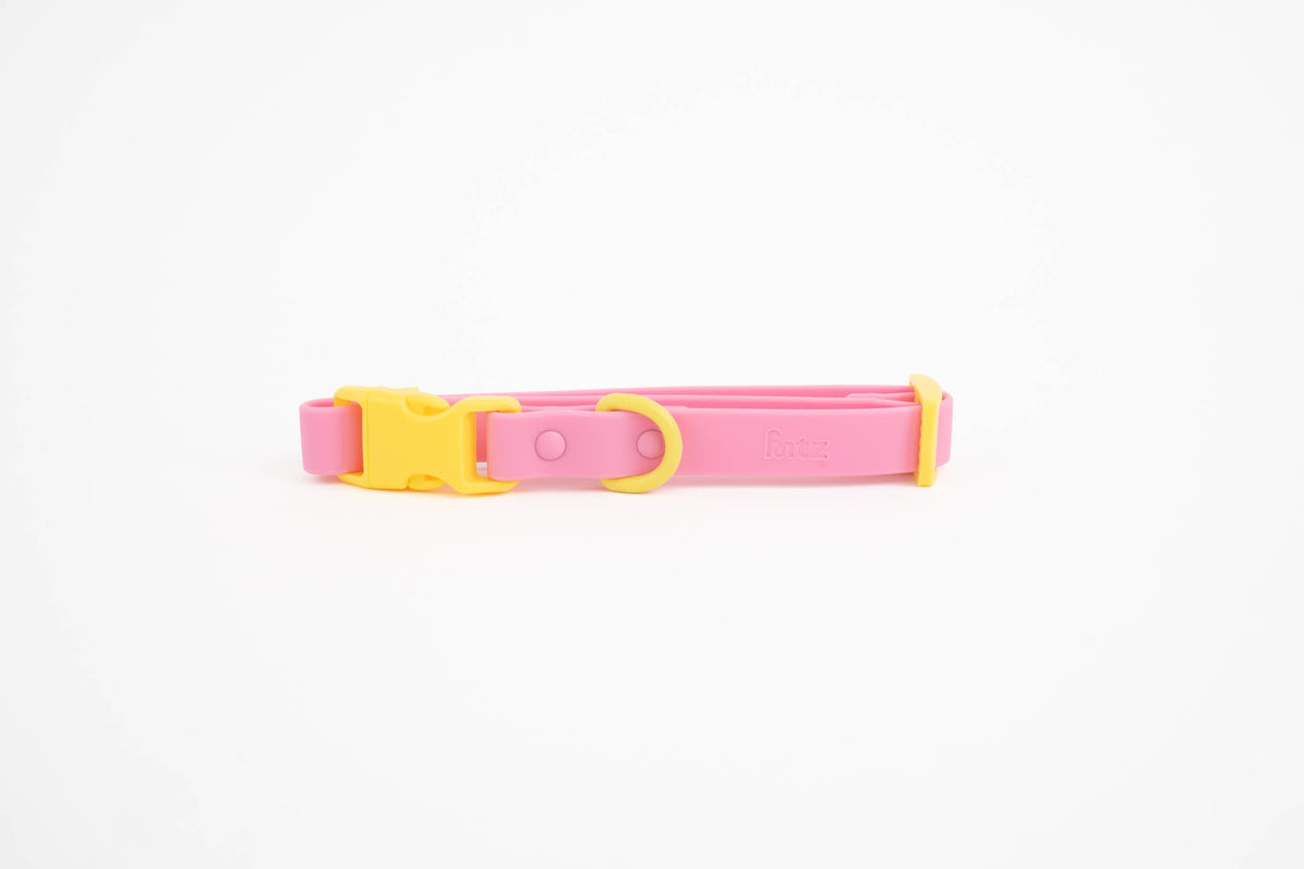 Approved by Fritz Hundehalsband
