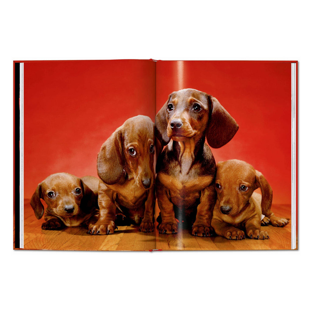 TASCHEN Walter Chandoha. Dogs. Photographs 1941–1991 (EN)