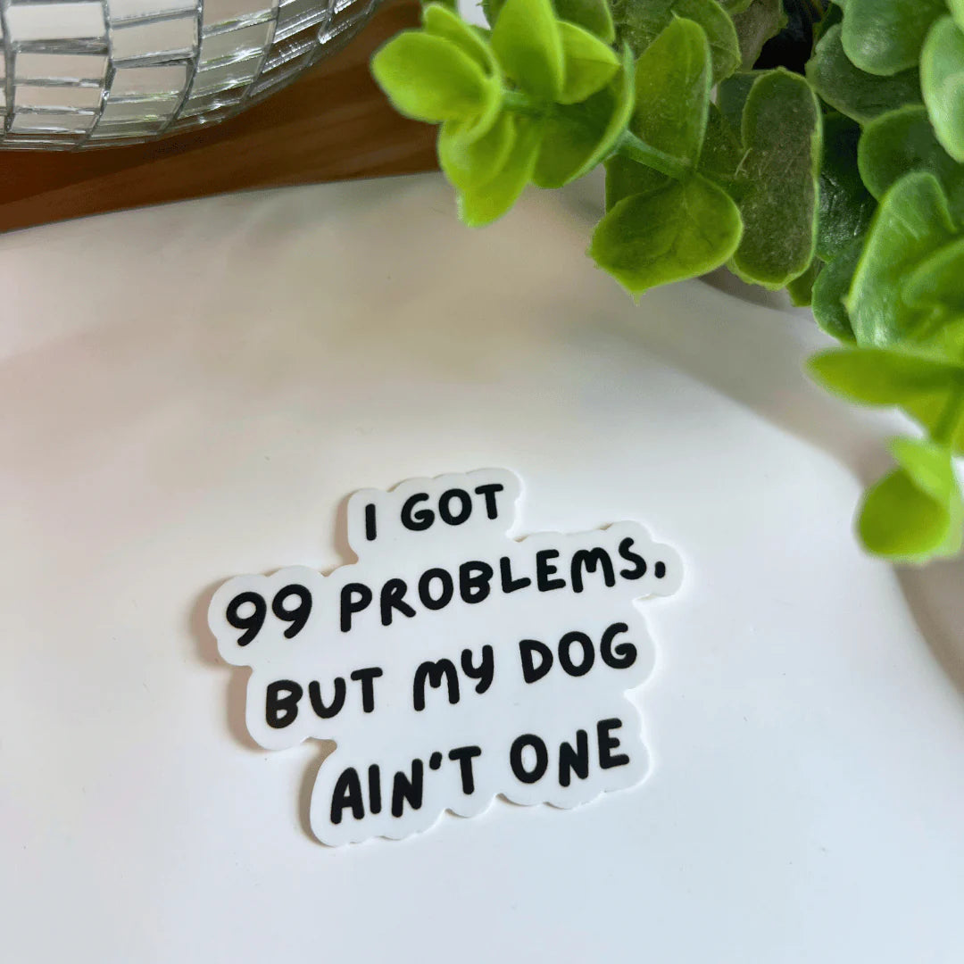 Fellever & Paways Sticker "99 problems"