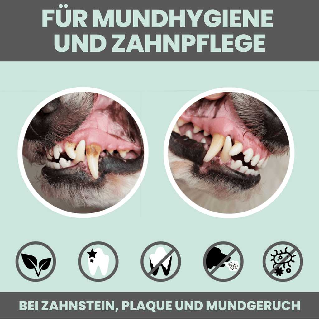 noms+ Dentalmix