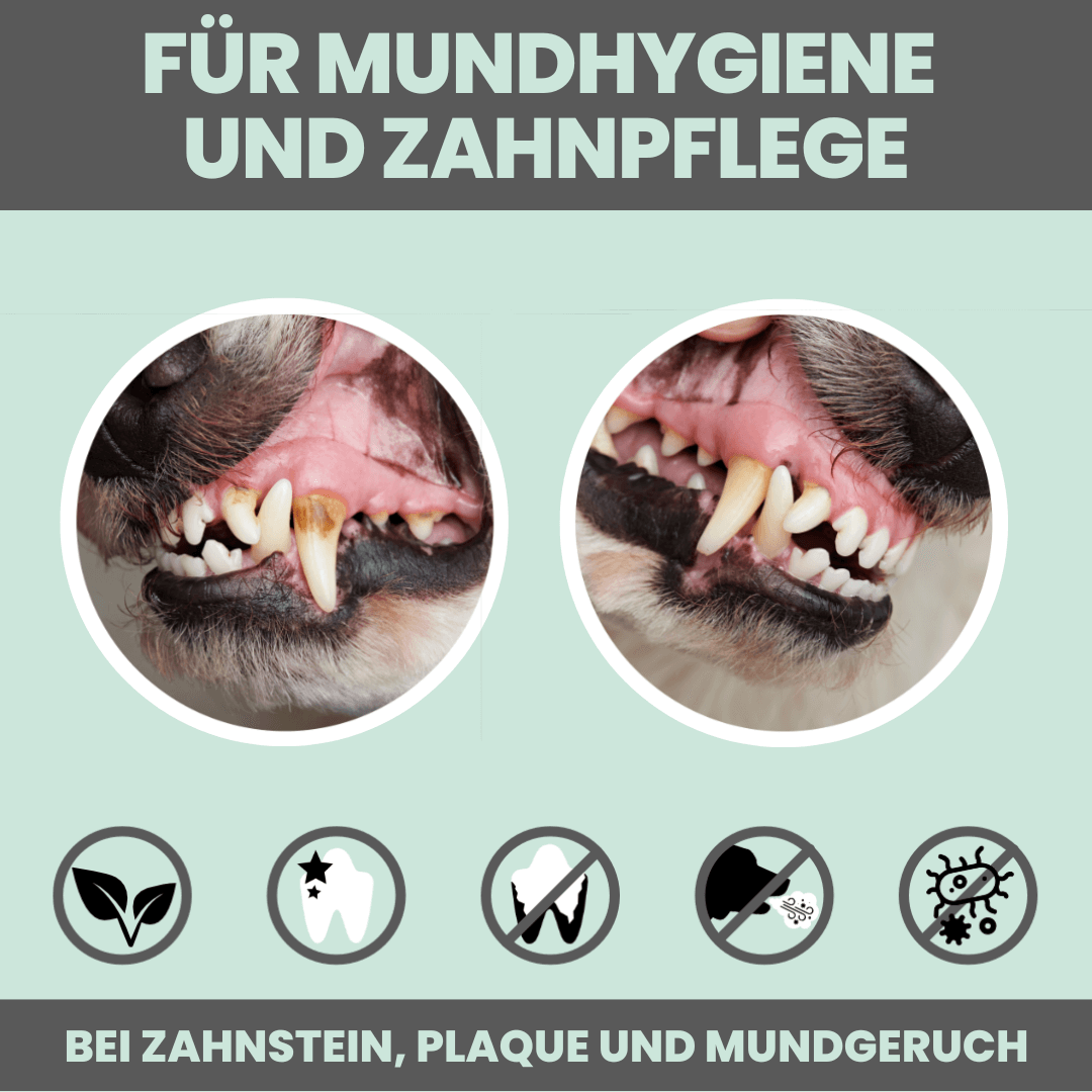noms+ Dentalmix