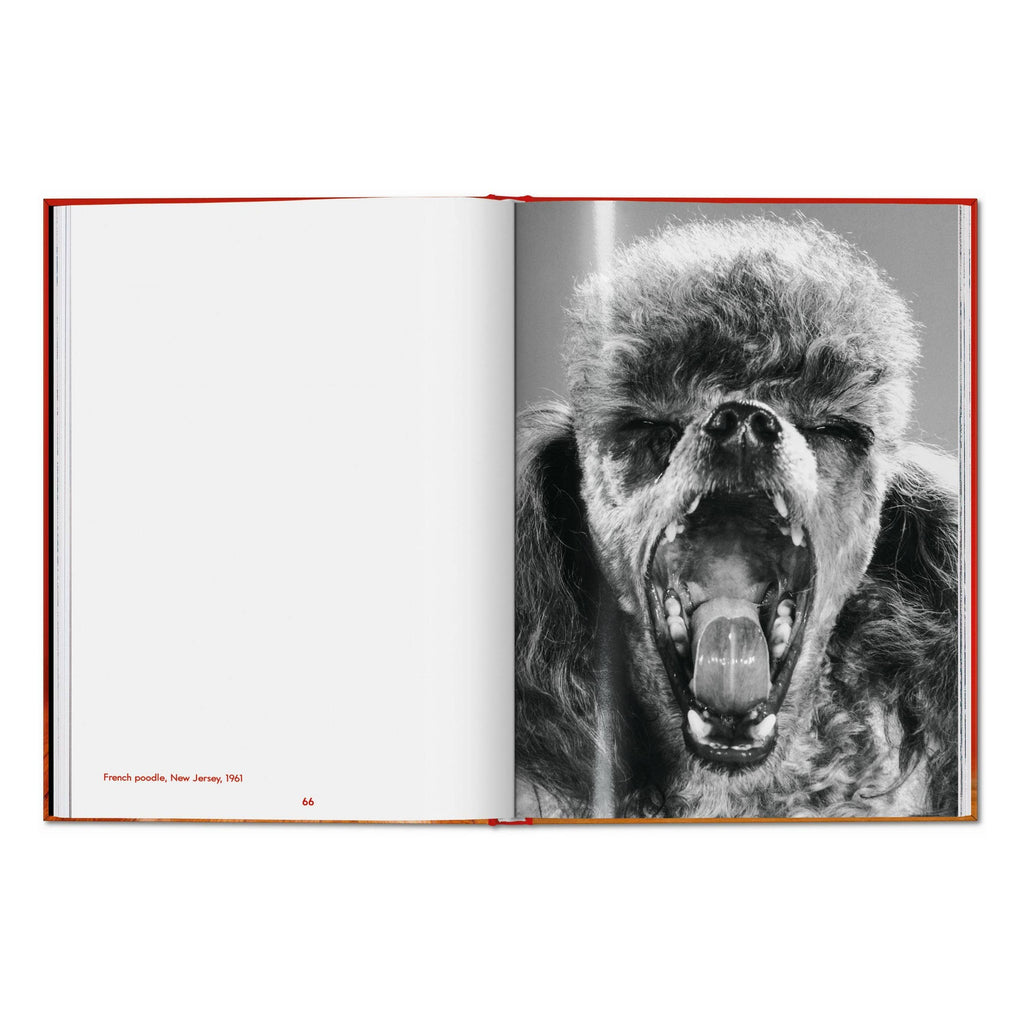 TASCHEN Walter Chandoha. Dogs. Photographs 1941–1991 (EN)