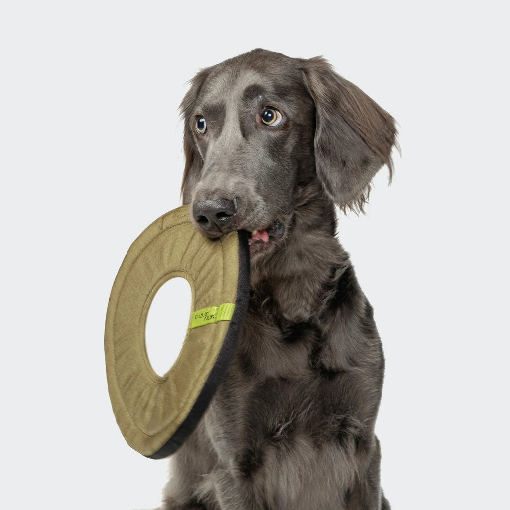 Cloud7 Hundespielzeug Frisbee AKTIV Khaki