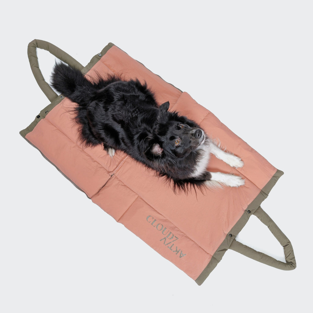 Cloud7 Hundereisebett & Tote Bag AKTIV Puffer