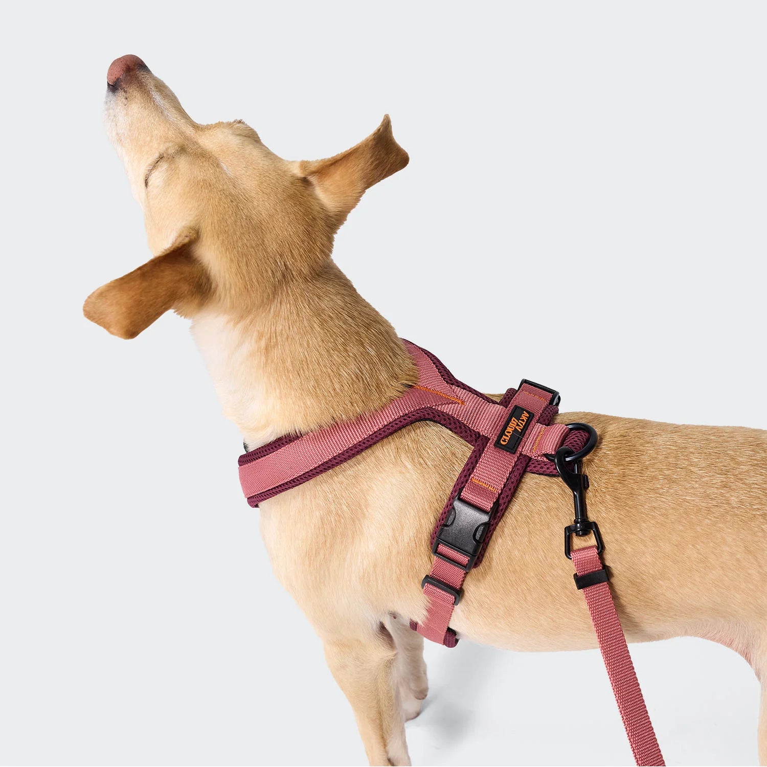 Cloud7 Y-1 Harness ACTIVE Air-Mesh