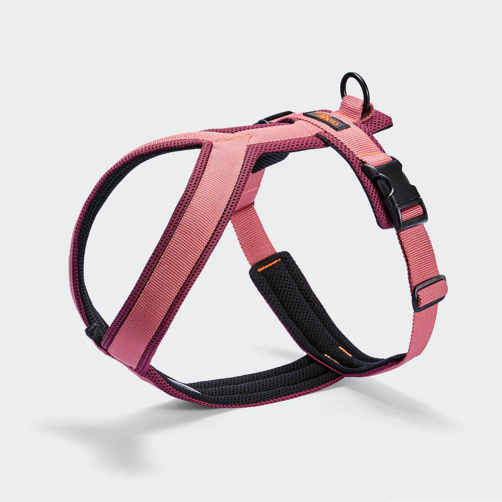 Cloud7 Y-1 Harness ACTIVE Air-Mesh