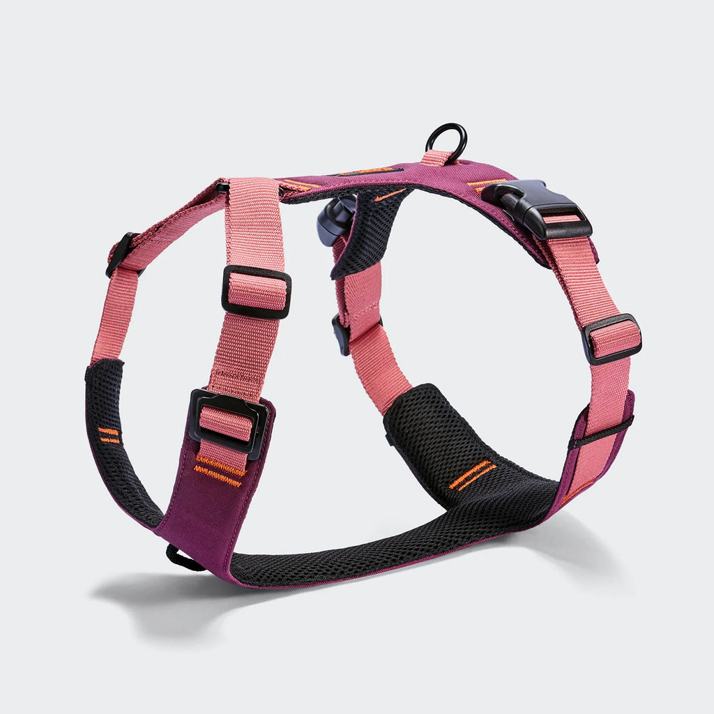 Cloud7 Y-2 Harness ACTIVE
