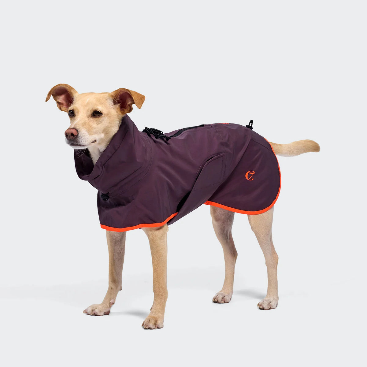 Cloud7 Dog Raincoat AKTIV Aubergine/Orange