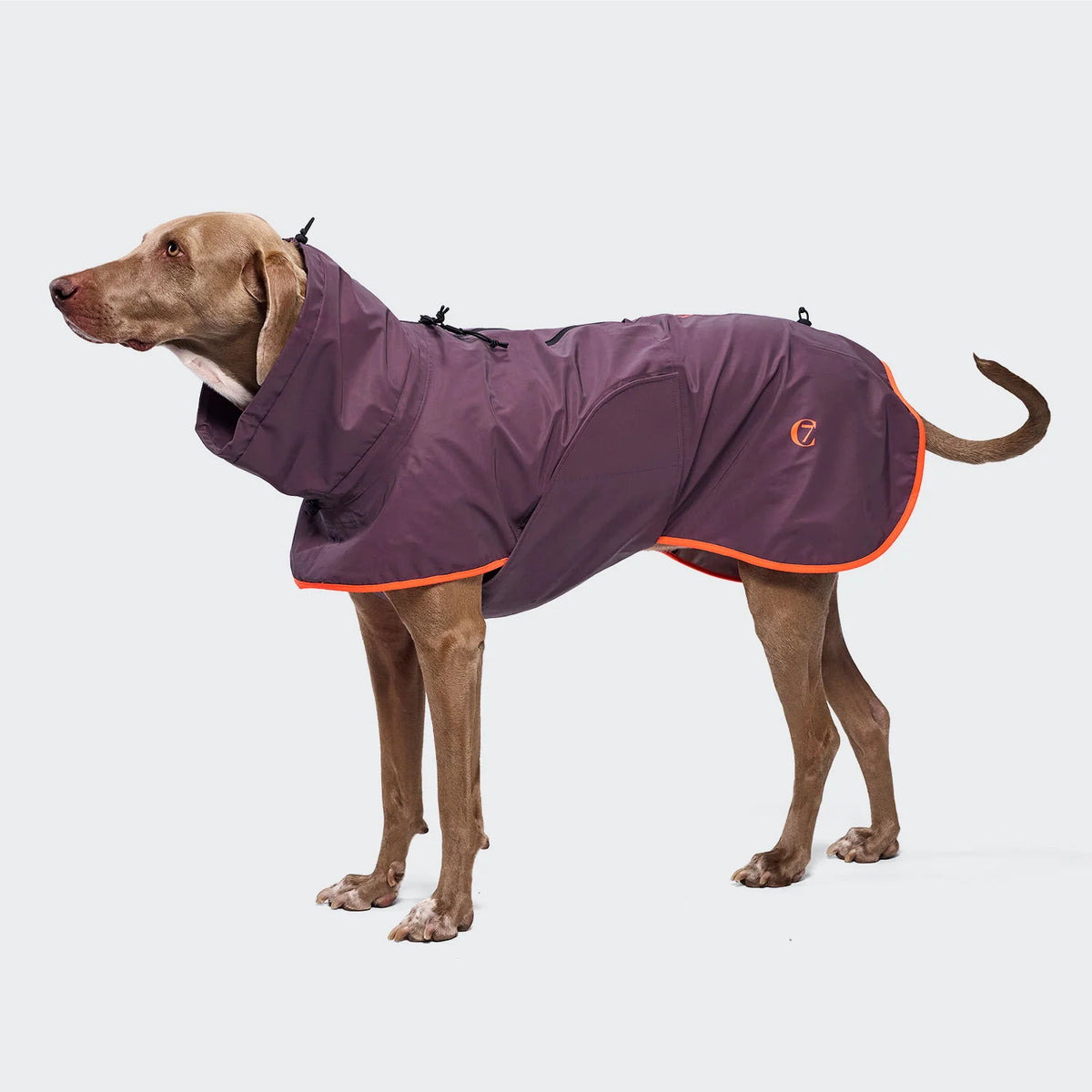 Cloud7 Dog Raincoat AKTIV Aubergine/Orange