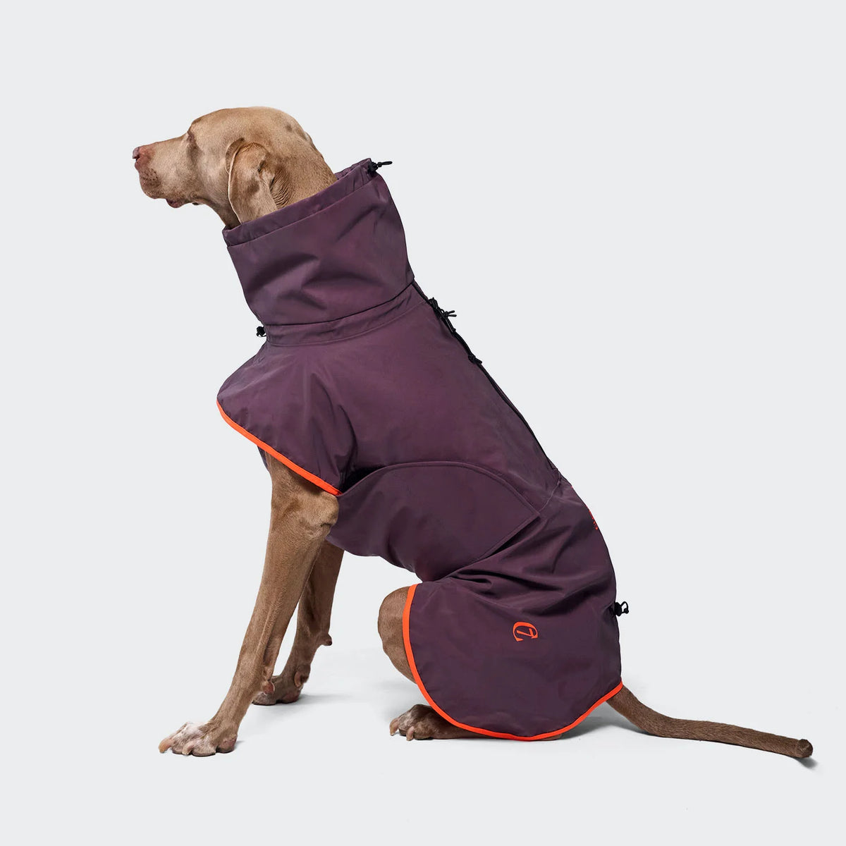 Cloud7 Dog Raincoat AKTIV Aubergine/Orange