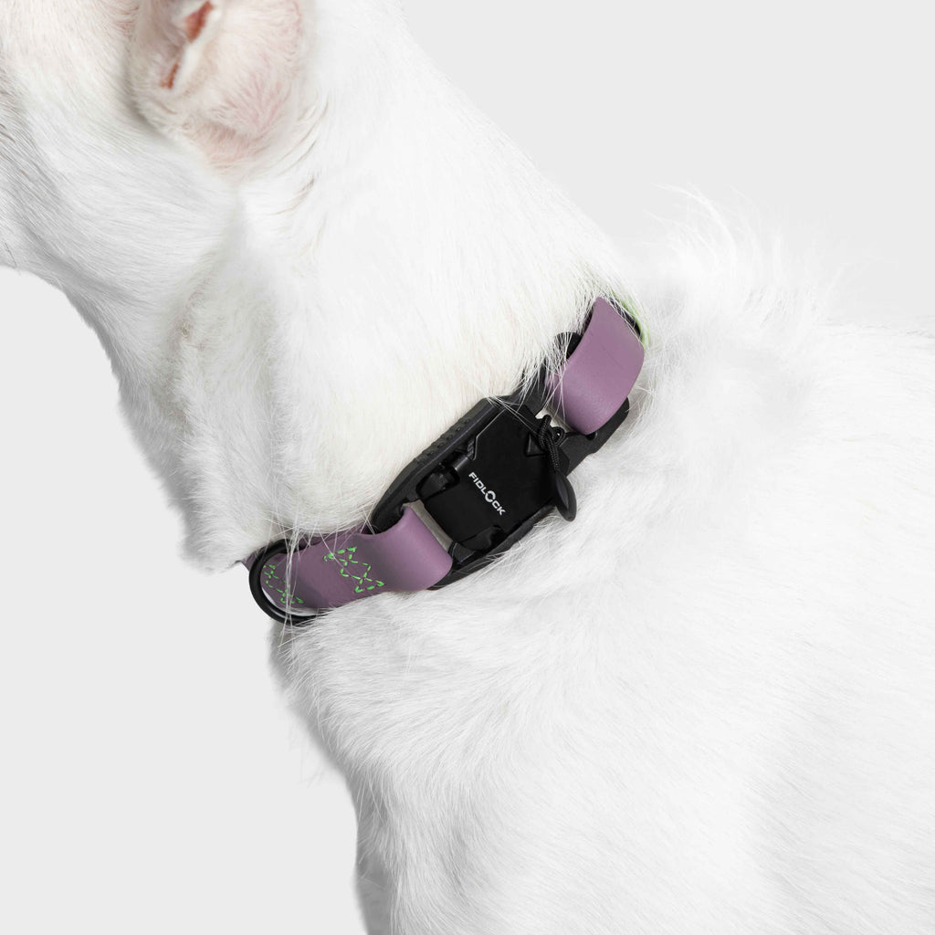 Cloud7 Hundehalsband BioThane Ipanema