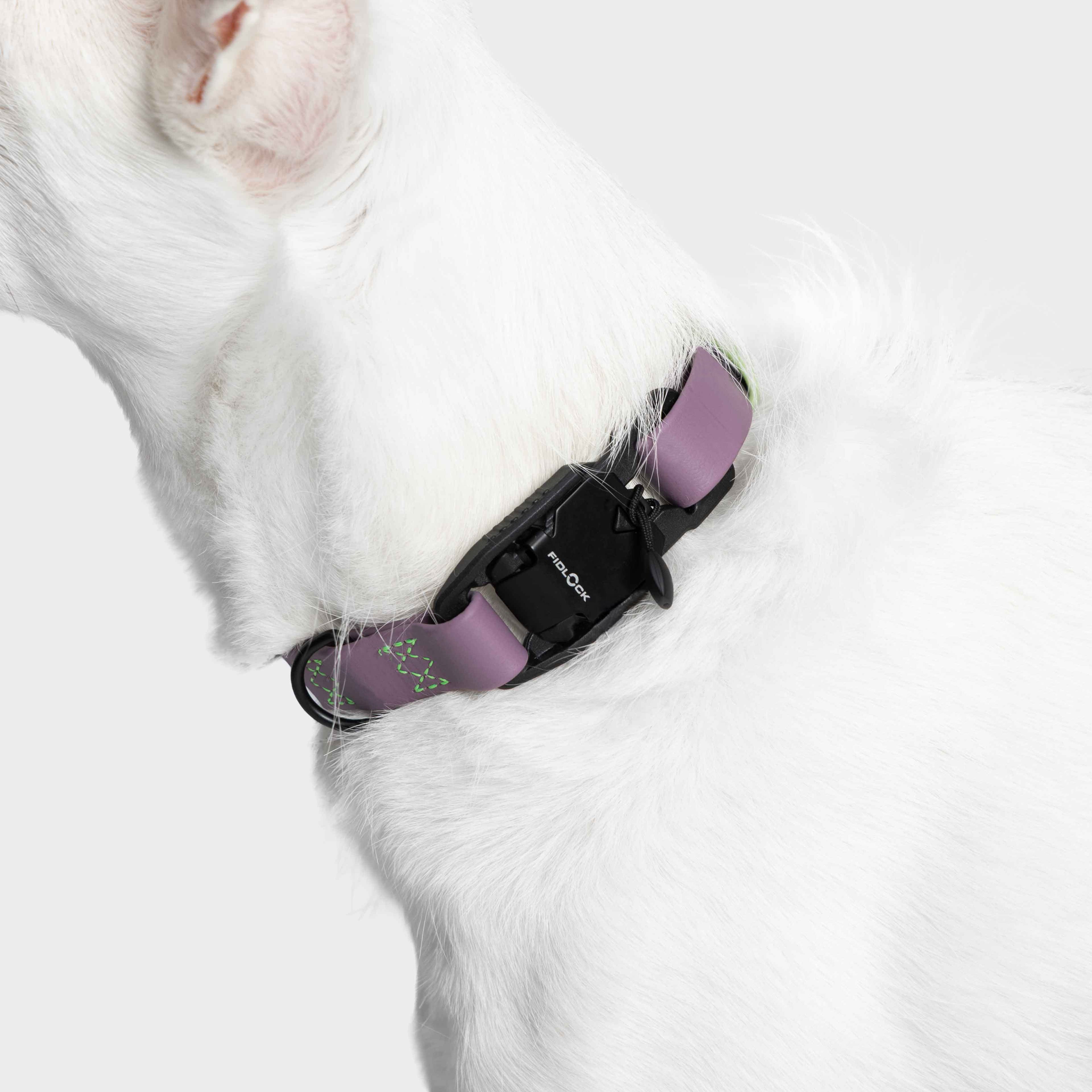 Cloud7 Hundehalsband BioThane Ipanema