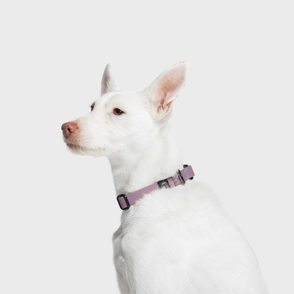 Cloud7 Hundehalsband BioThane Ipanema
