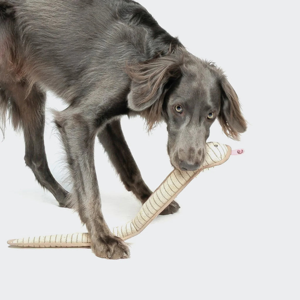 Cloud7 Hundespielzeug Schlange Smilla