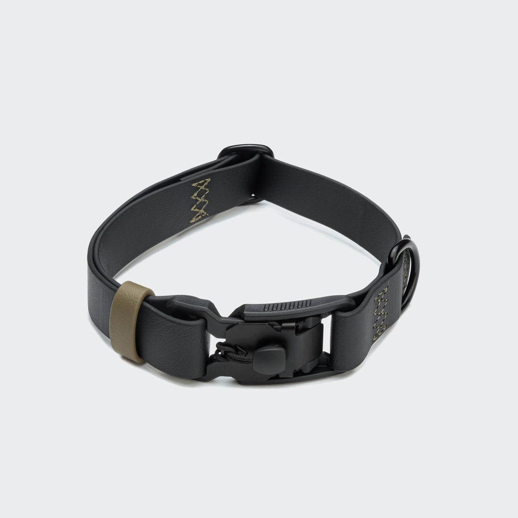 Cloud7 Dog Collar BioThane Ipanema