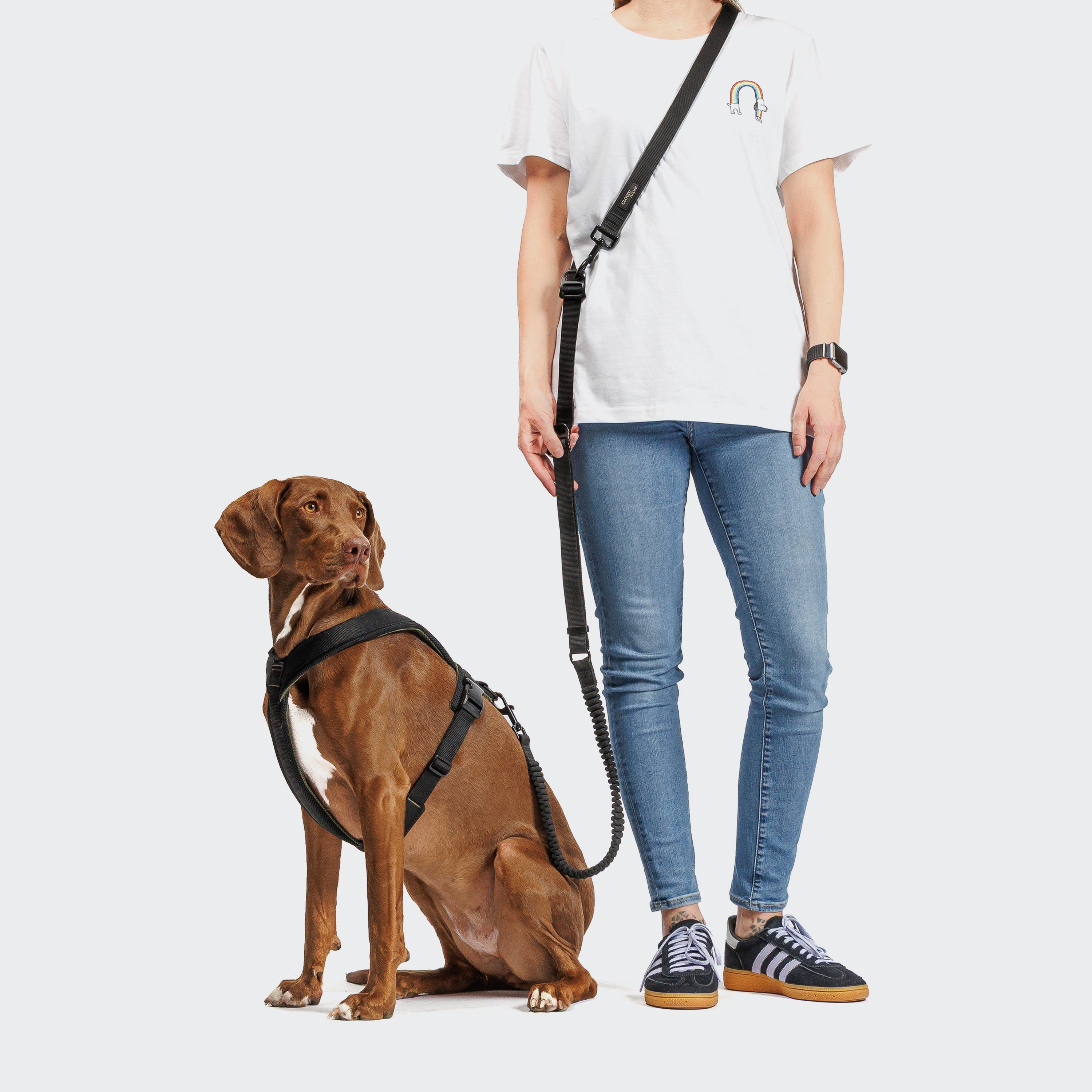 Cloud7 L-1 Freihandleine AKTIV