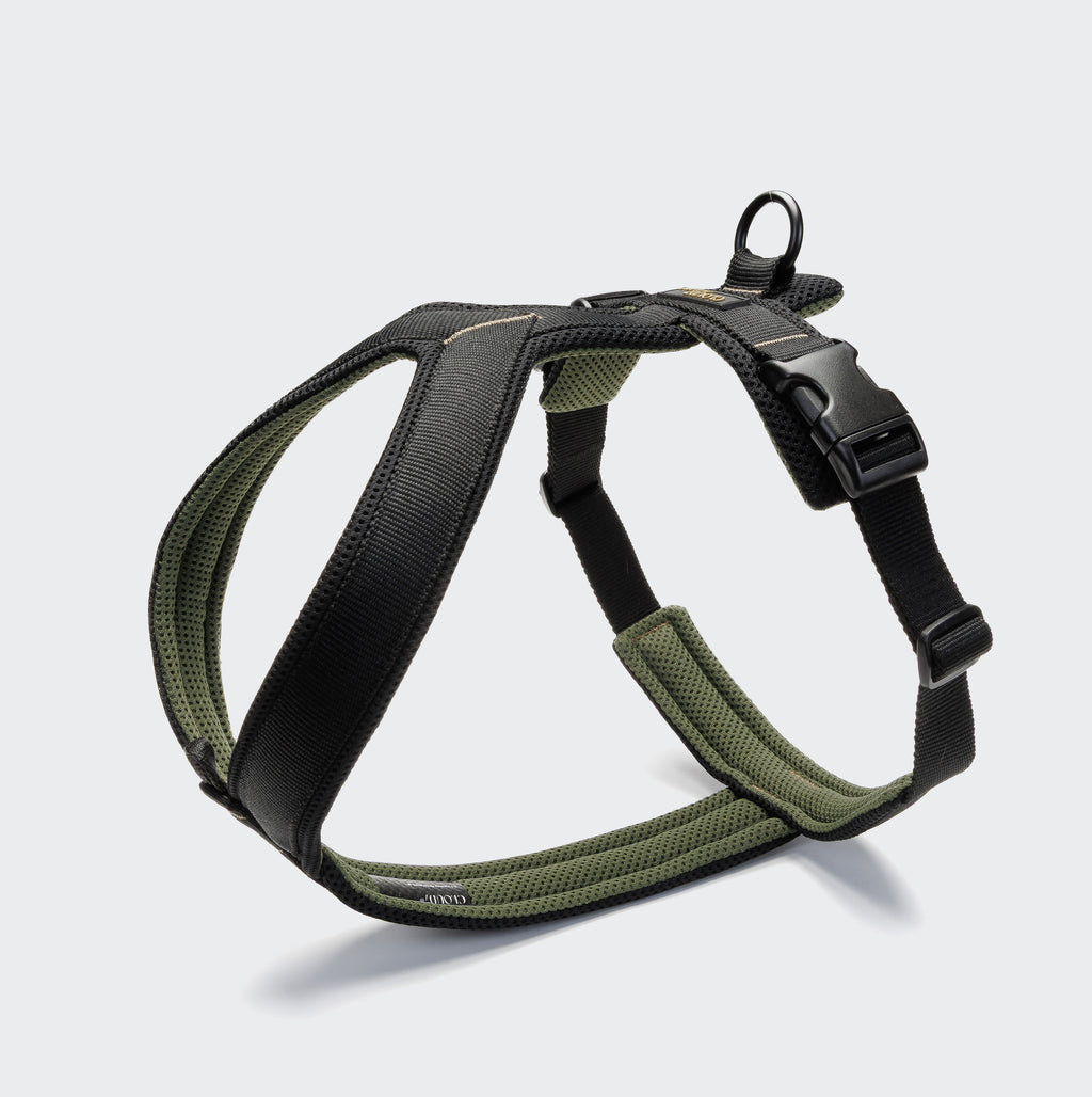 Cloud7 Y-1 Geschirr AKTIV Air-Mesh