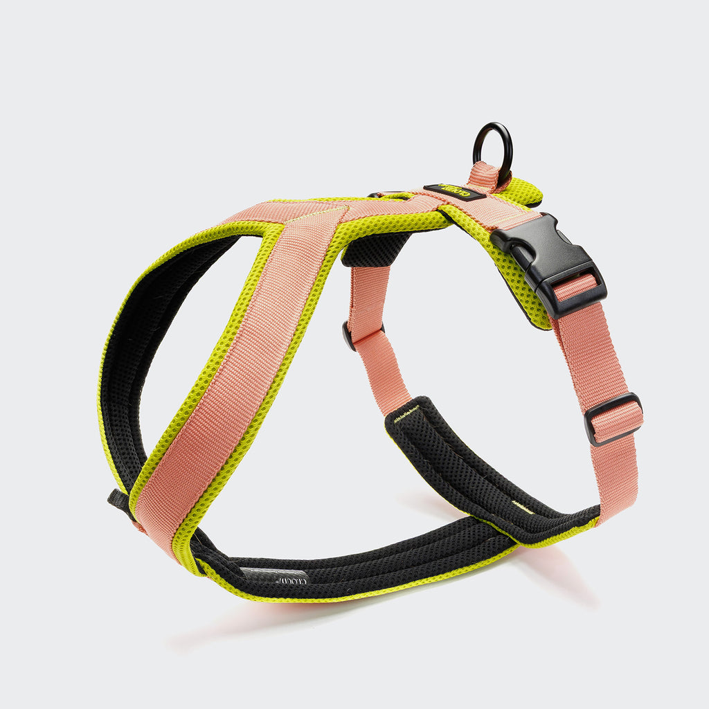 Cloud7 Y-1 Harness ACTIVE Air-Mesh