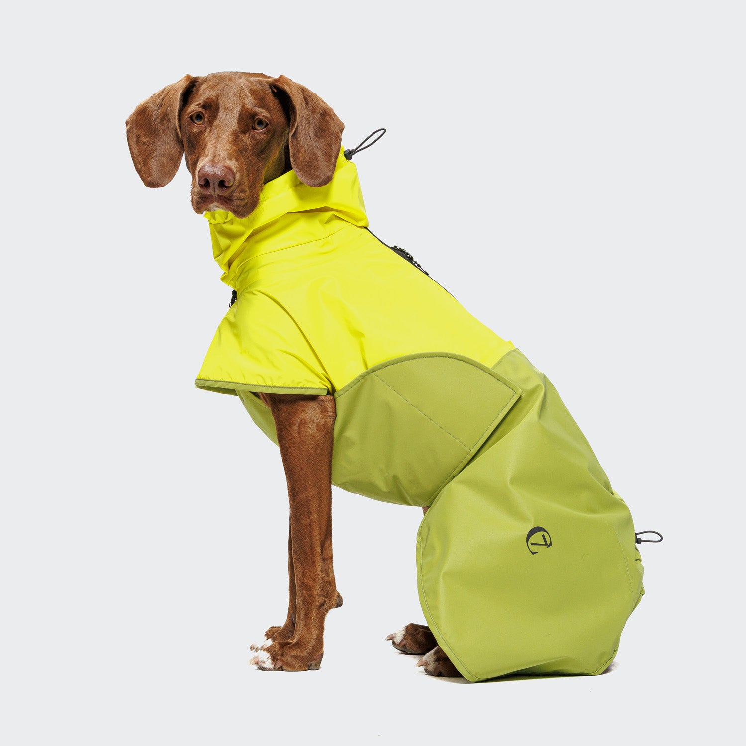 Cloud7 Hunderegenmantel AKTIV Neon Green/Light Olive