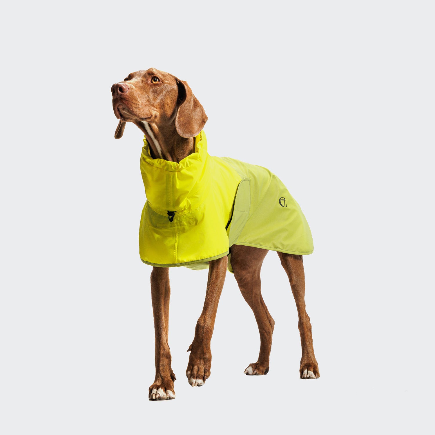 Cloud7 Hunderegenmantel AKTIV Neon Green/Light Olive