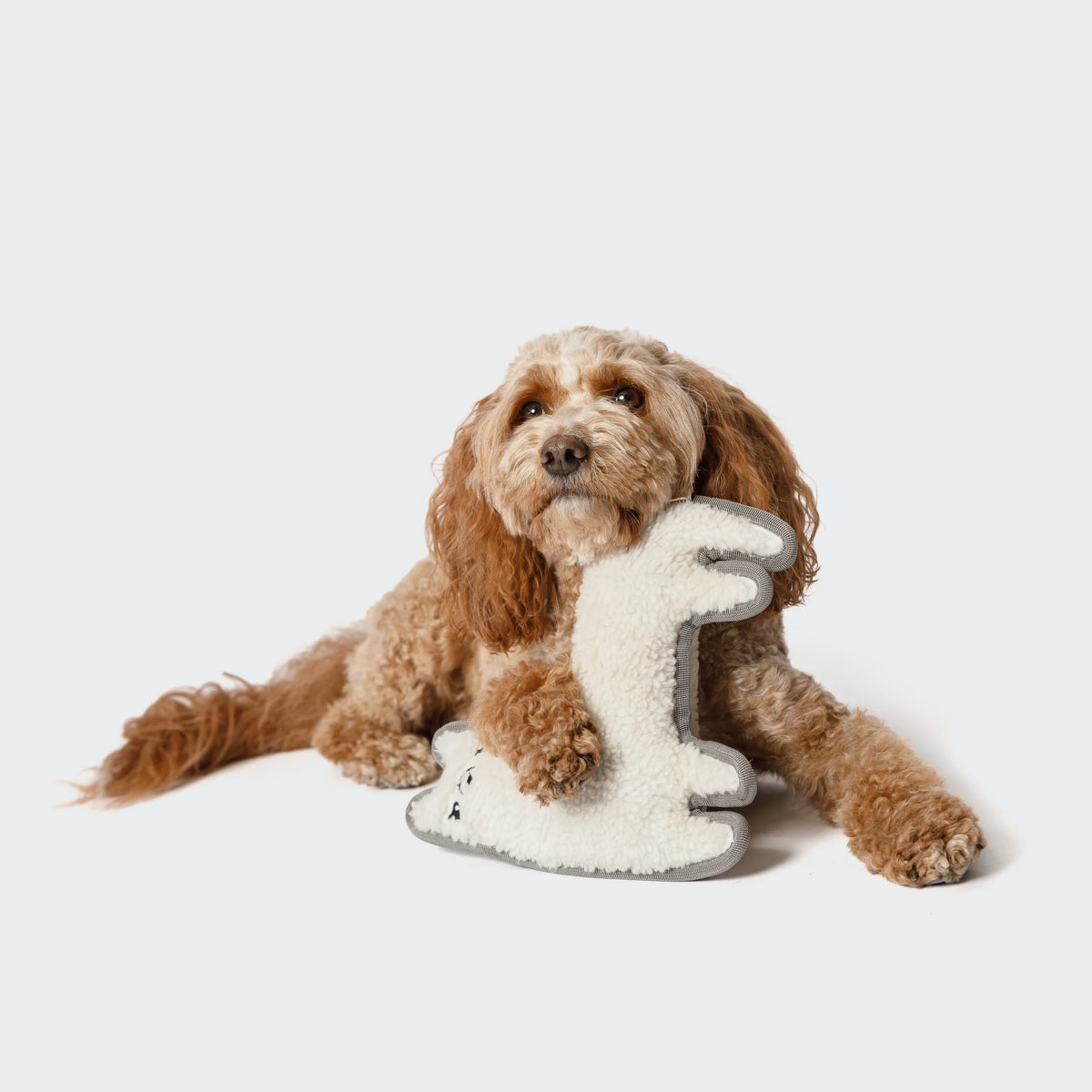 Cloud7 Dog Toy Llama Lotte