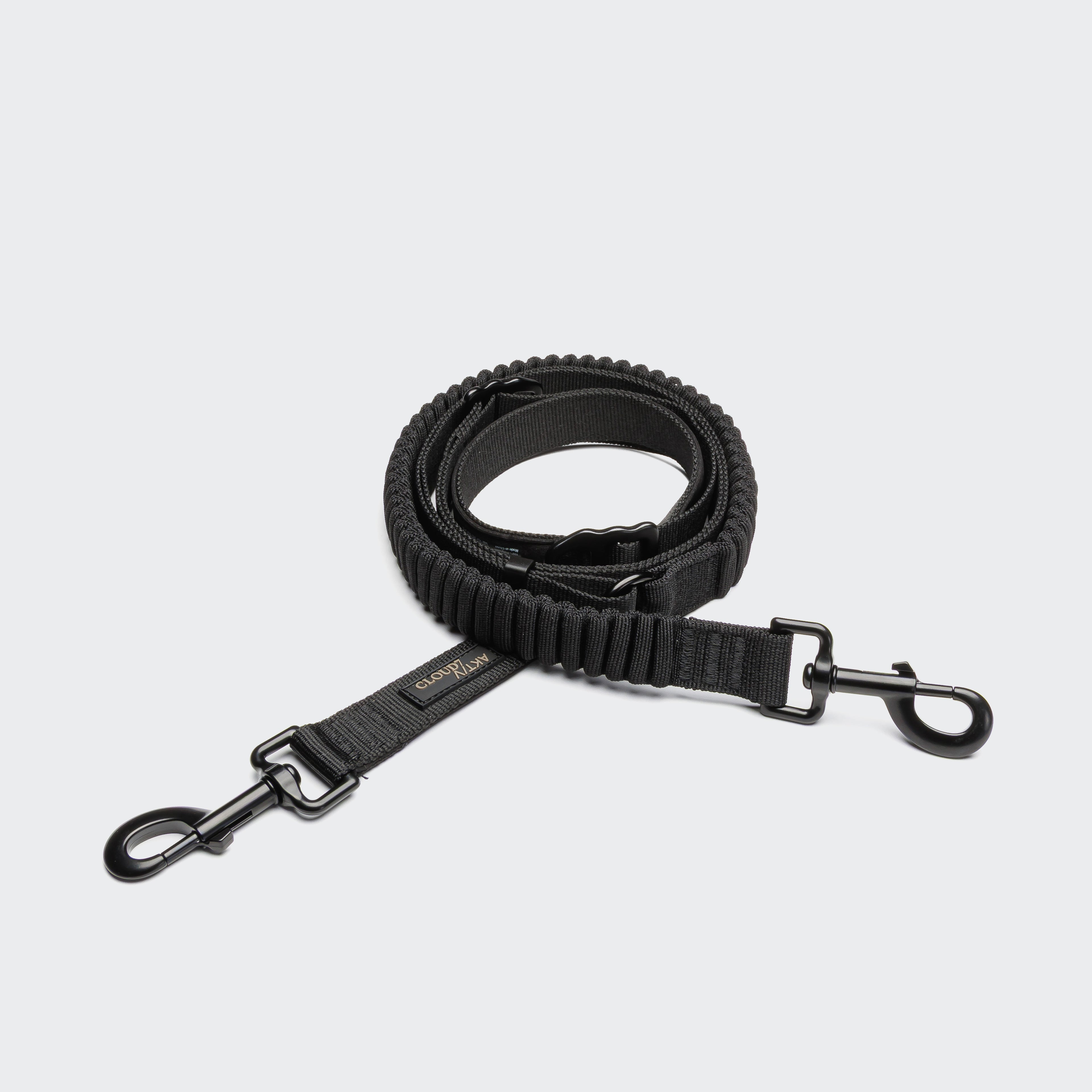 Cloud7 L-2 Jogging-Leine AKTIV