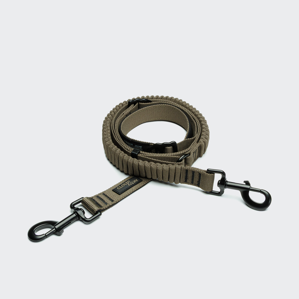 Cloud7 L-2 Active Jogging Leash